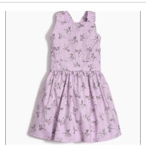 Crewcuts lilac zebra apron dress size 2 NWT